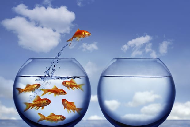 adaptability risk3